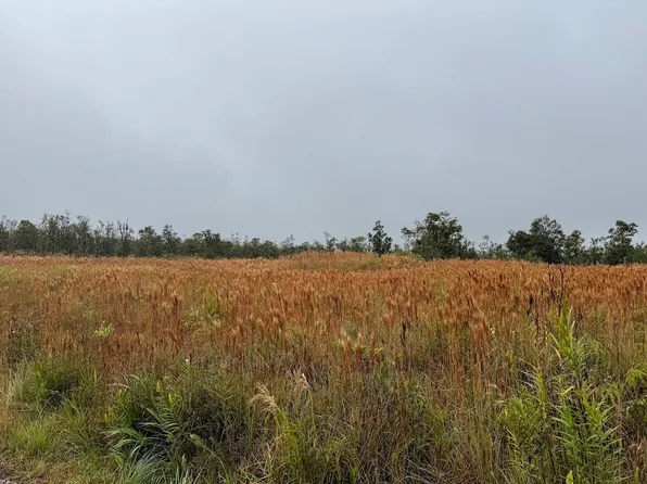 Ohialani Rd Lot 36, Volcano, HI 96785