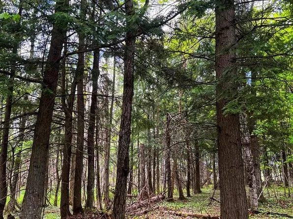 Tbdc Rousseau Rd, Mass City, MI 49948