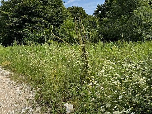 5th image of 203-203R Providence St Lot 6