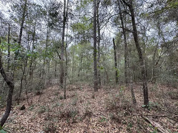 176 NE 155th Ct #3, Williston, FL 32696