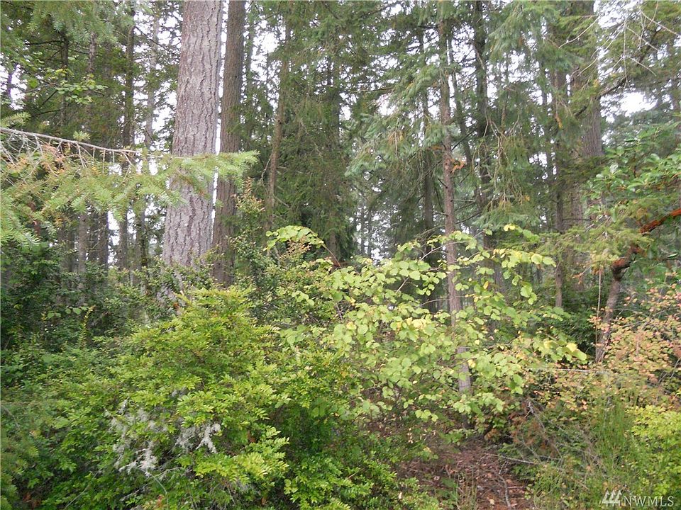 2nd image of 10929 Pioneer Dr
