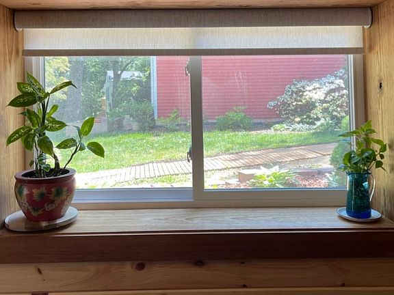 Deep window.. perfect for plants or books
