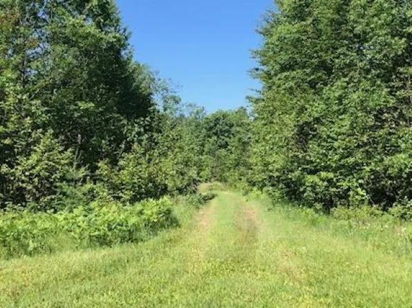 Ludington Dr, Lake, MI 48632