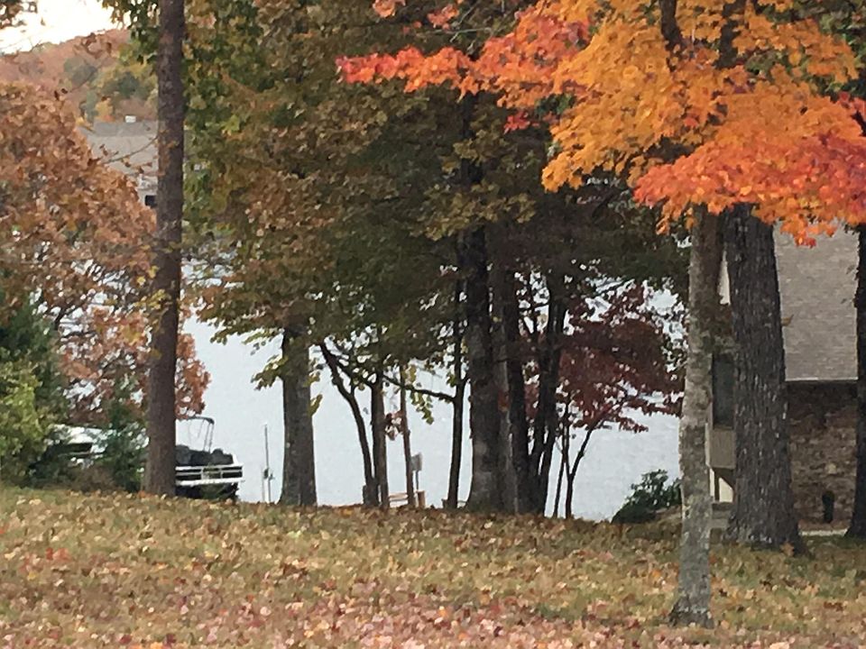 1st image of 139 Motthaven Dr