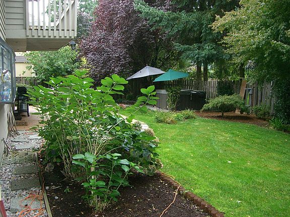 back yard