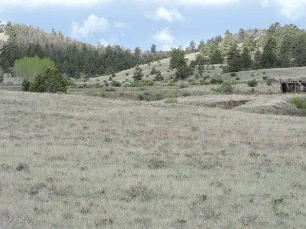 61 Hill Road, Hartsel, CO 80449