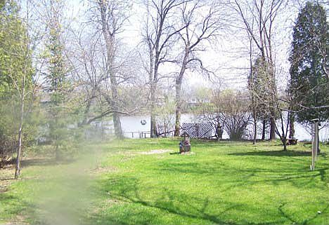 Yard in Spring