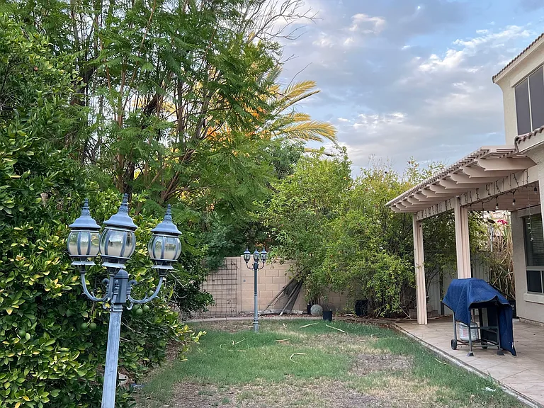 3296 E Bluejay Dr — Photo 19