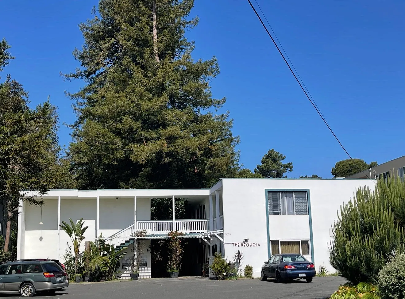 1 bed, $1,850 — Photo 1
