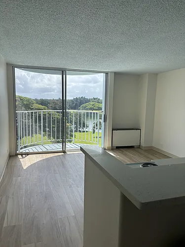 101 Aupuni St #161 Photo 1
