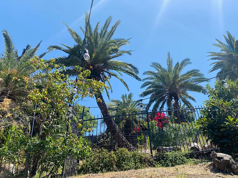 830 Laguna Ave — Photo 26