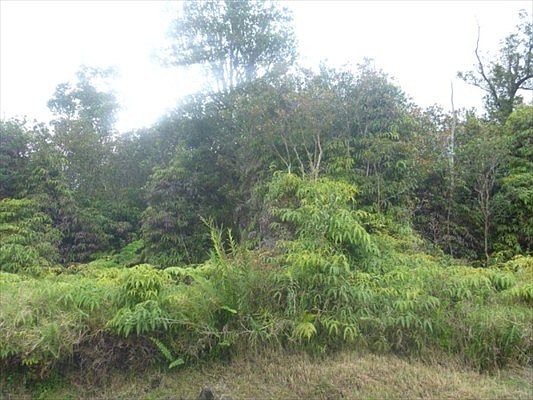 1st image of Lehua St Lot 7210