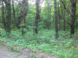 0 Bob Wilson Rd, Oneonta, NY 13820