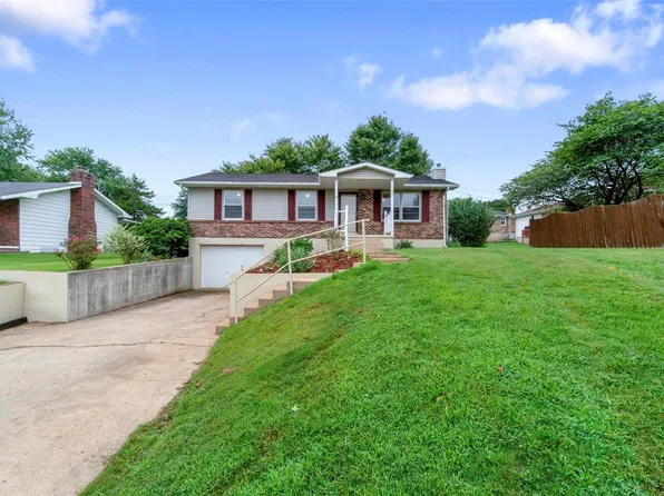 905 W College Ave, Fredericktown, MO 63645