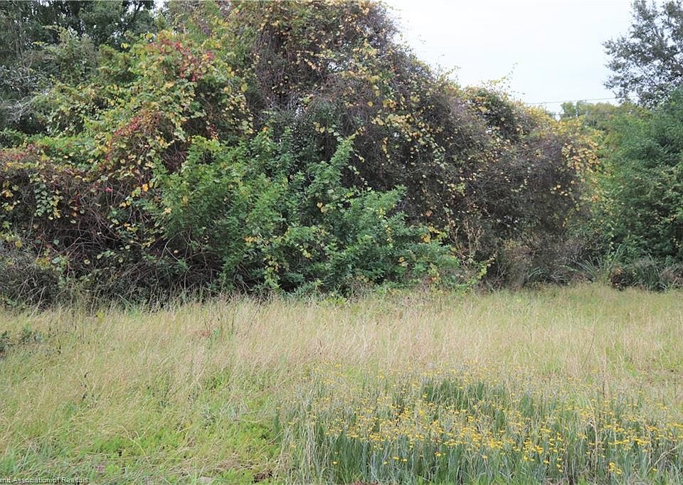 2nd image of 110 Tangerine Rd