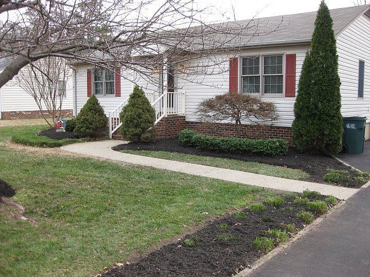 Mature Landscaping