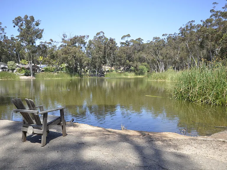 Hendrix Pond
