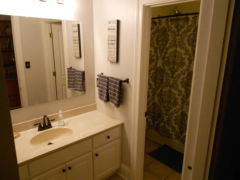 Guest bathroom.