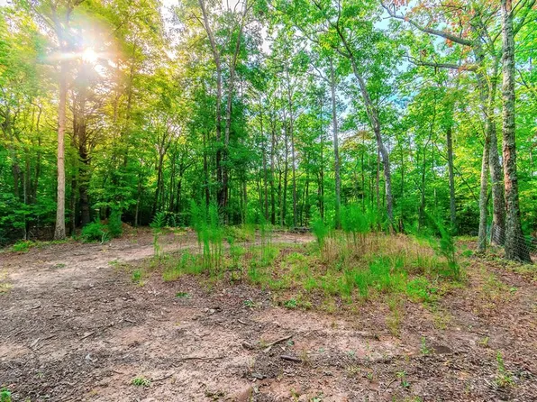 1.77 Mount Carmel Rd, Morganton, GA 30560