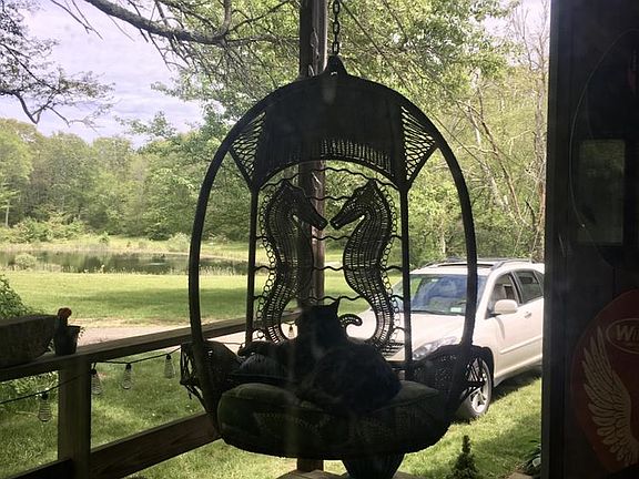 View of the pond from the back porch