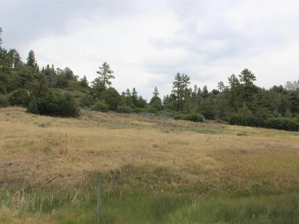 121 Elbert Place, Pagosa Springs, CO 81147