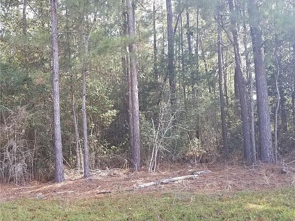 2nd image of Rollo Rd