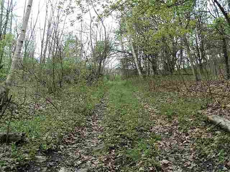 2nd image of PODPADIC Road