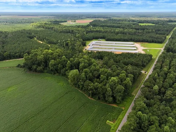 Doc Brown Rd, Rose Hill, NC 28458