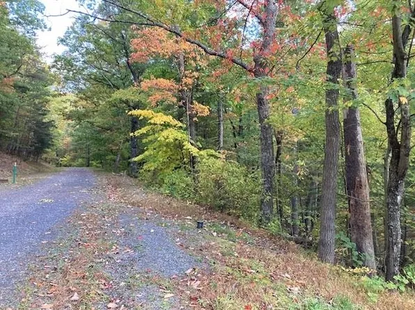 0 Brenda Ln, Basye, VA 22810