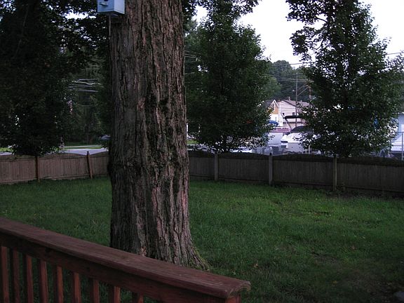 Fenced in yard