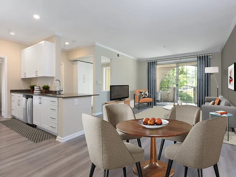 Upgraded Apartment Home Kitchen Living and Dining Areas