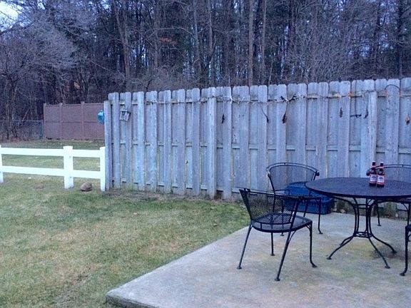 back yard