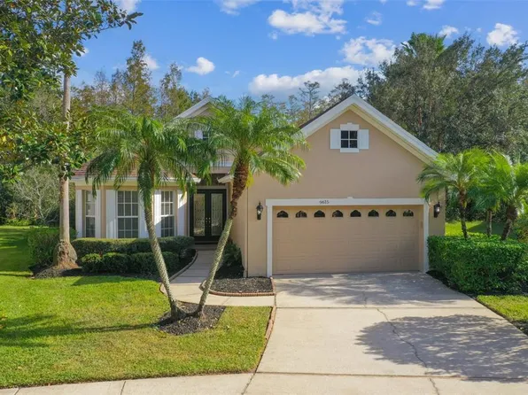 9615 Greenpointe Dr, Tampa, FL 33626