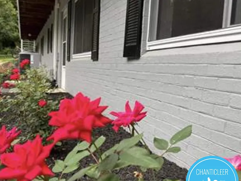 1416 Old Lystra Rd #1 — Photo 12