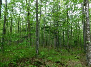 N5510 County Road N 5510 E, Merrill, WI 54452