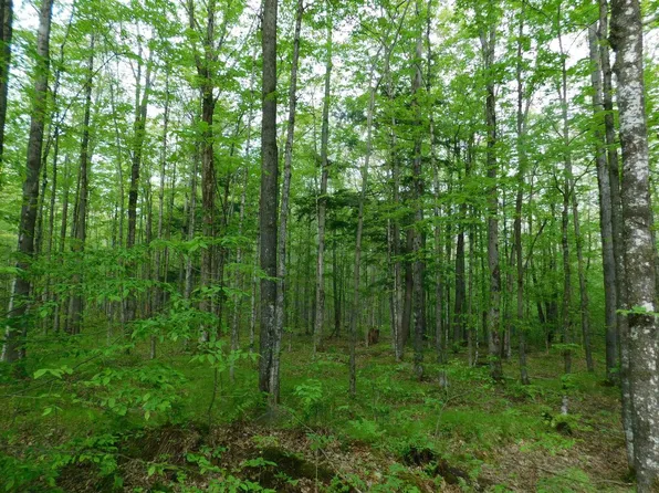 N5510 COUNTY ROAD E #N5510 Big Ten Dr, Merrill, WI 54452