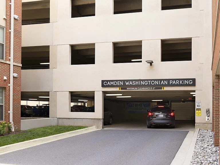 Camden Washingtonian — Photo 40