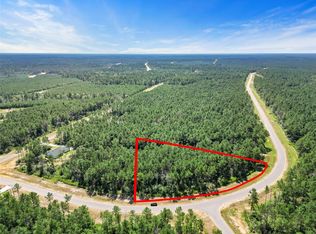 15720 Forest Grove Dr, Willis, TX 77378