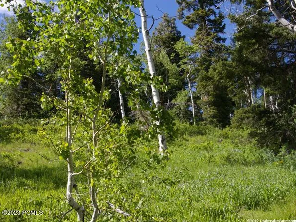 1768 W Alexander Canyon Rd #64, Coalville, UT 84017