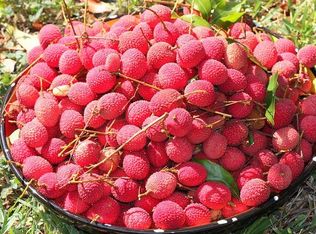 2121 SW 127th Ave, Davie, FL 33325