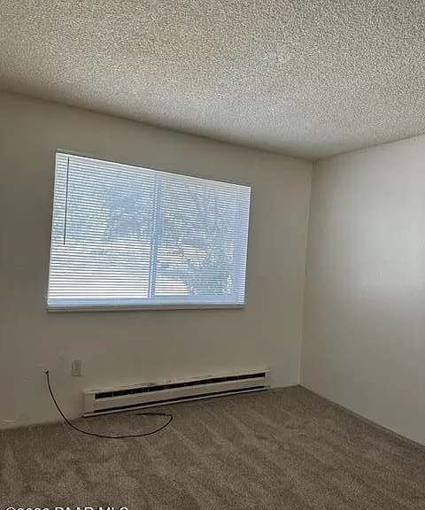 314 S Virginia St #2 — Photo 5