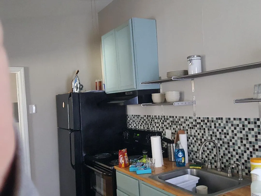 1 bed, 450 sqft, $1,050 — Photo 2