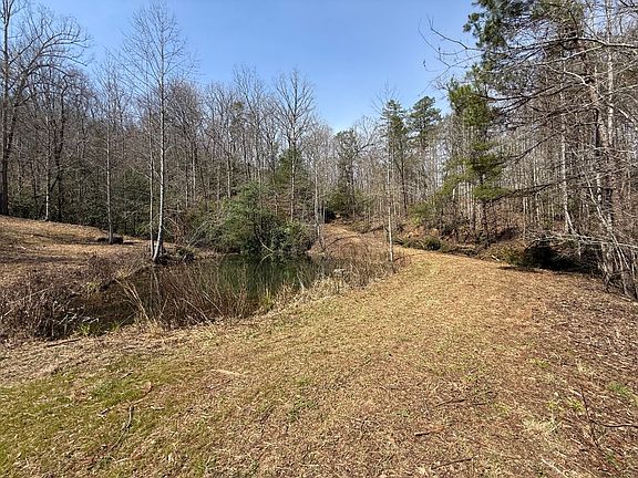 3rd image of 142 Stone Valley Cir