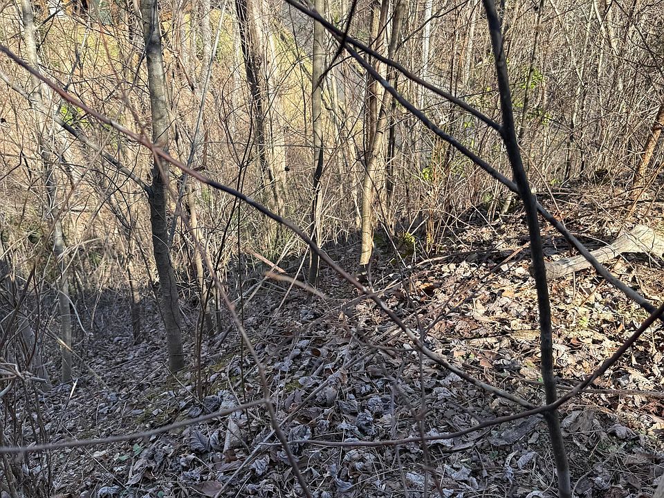 1st image of LOT 506 Crooked Ridge Rd