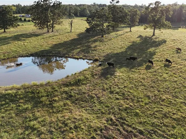 0 Highway W, Summersville, MO 65571