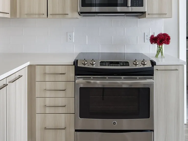 Stainless steel appliances and modern backsplashes