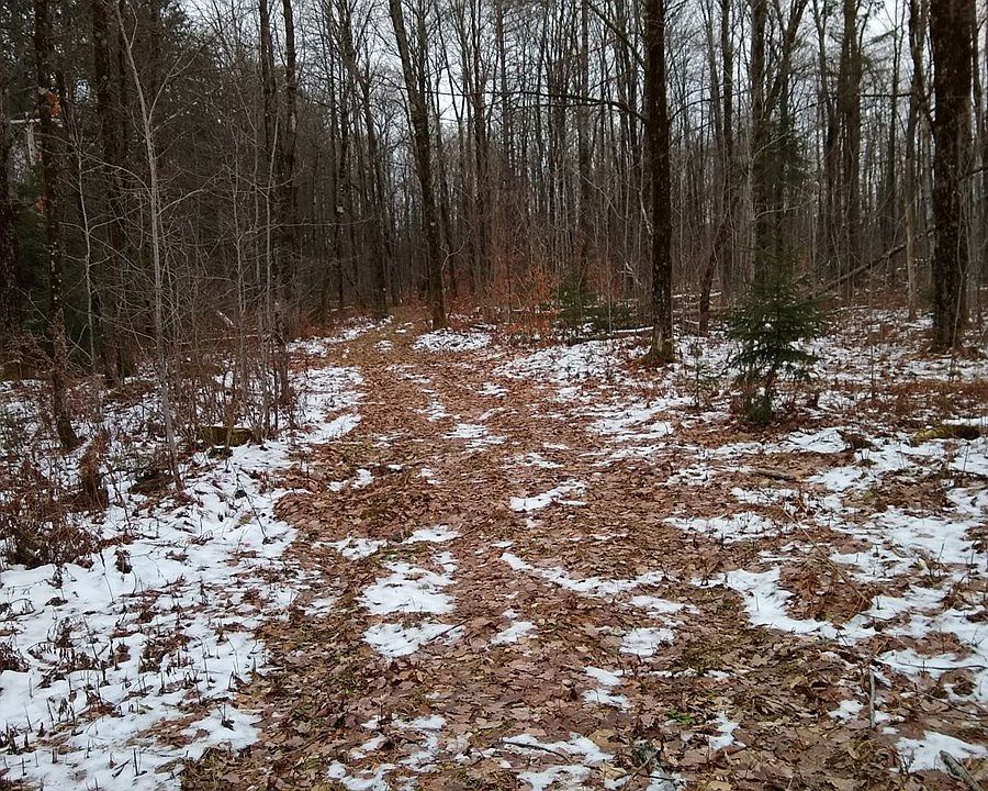 2nd image of 0 Dairy Hill Rd Lot 1