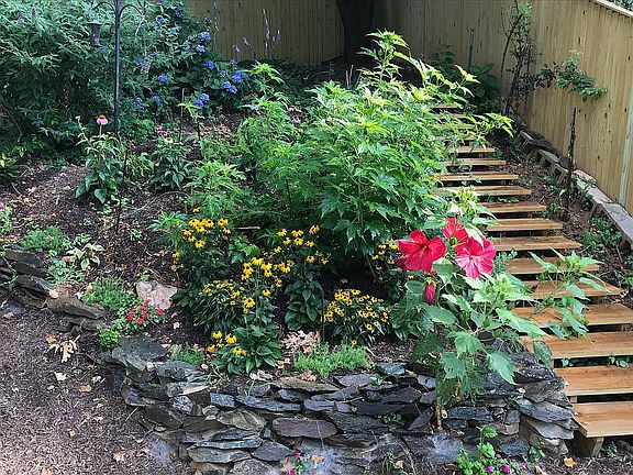 Backyard Garden & Stairs