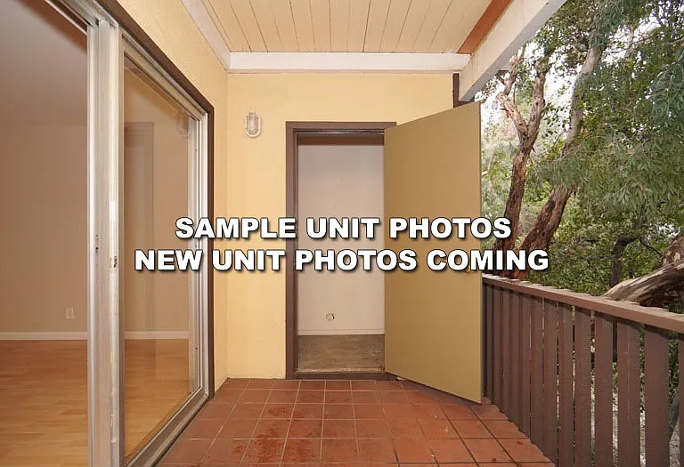 431 Dinahs Ct — Photo 15