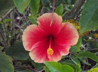 15-288 Puni Makai Loop S #1400, Pahoa, HI 96778